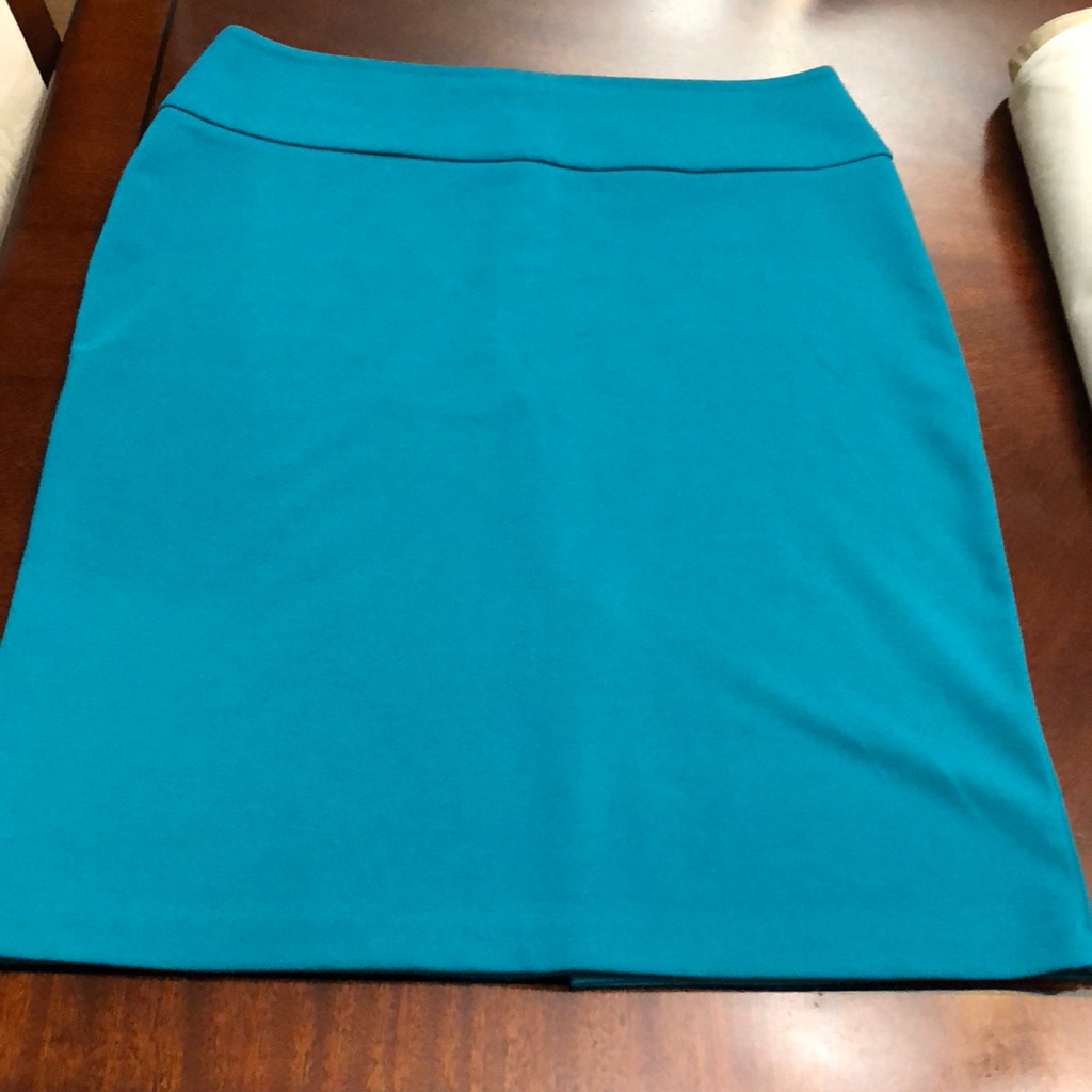 Preowned Pencil Skirt Preowned Pencil Skirt